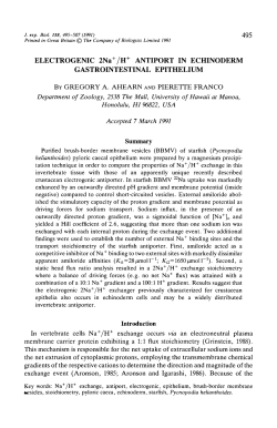 ELECTROGENIC 2Na /H ANTIPORT IN ECHINODERM