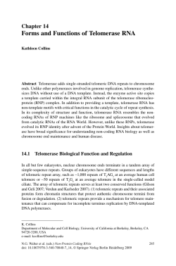 Forms and Functions of Telomerase RNA