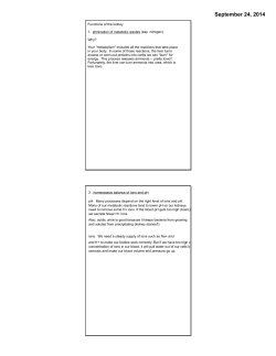 notes on kidney function and processes