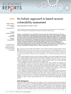 An holistic approach to beach erosion vulnerability assessment