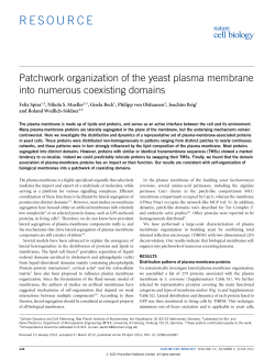 Patchwork organization of the yeast plasma membrane into