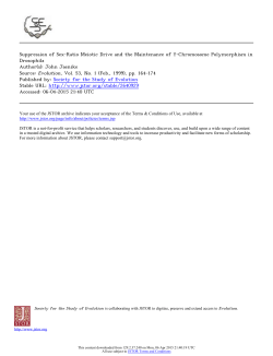 "Sex-ratio" meiotic drive and the maintenance of Y chromosome