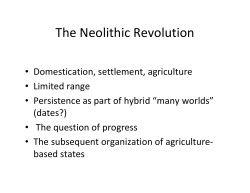 The Neolithic Revolution