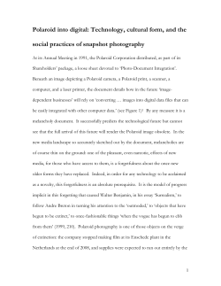 Polaroid into digital: Technology, cultural form