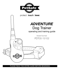 ADVENTURE Dog Trainer