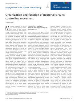 Organization and function of neuronal circuits controlling movement