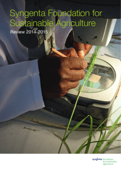 - Syngenta Foundation