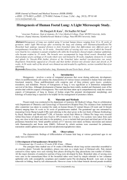 Histogenesis of Human Foetal Lung: A Light Microscopic Study.