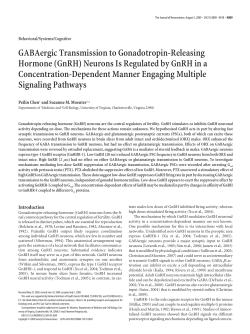 GABAergic Transmission to Gonadotropin
