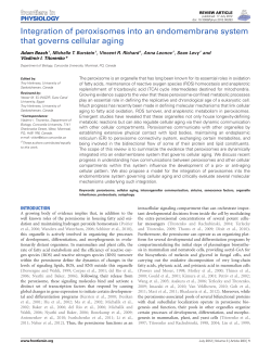Integration of peroxisomes into an endomembrane system that