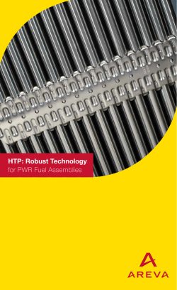 HTP: Robust Technology for PWR Fuel Assemblies