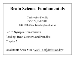 7 Synapses