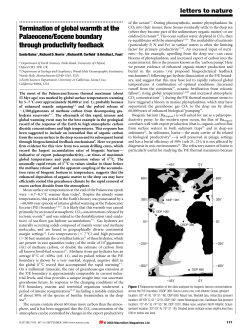 Termination of global warmth at the Palaeocene/Eocene boundary