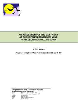 06.01.03 Bat report comments