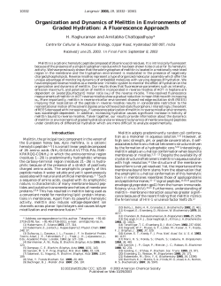 Organization and Dynamics of Melittin in Environments of