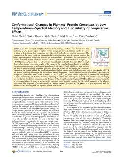 Conformational Changes in Pigment&ndash;Protein Complexes at Low