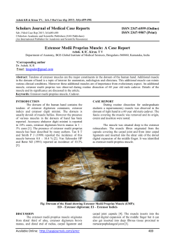 PDF - SAS Publishers