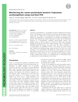 Monitoring the rumen pectinolytic bacteria Treponema