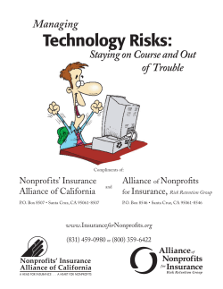 Managing Technology Risks