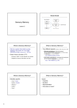 Sensory Memory