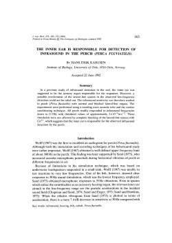 as a PDF