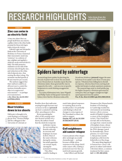 Spiders lured by subterfuge