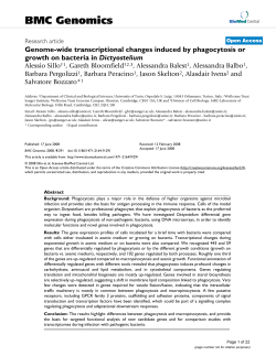 Genome-wide transcriptional changes induced by phagocytosis or