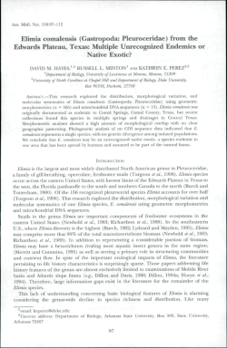 (Gastropoda: Pleuroceridae) from the Edwards Plateau