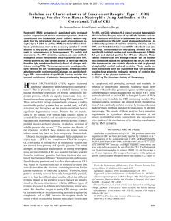 Isolation and Characterization of Complement