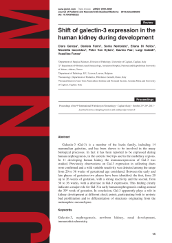 Shift of galectin-3 expression in the human kidney during