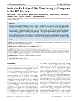Molecular Evolution of Zika Virus during Its Emergence in