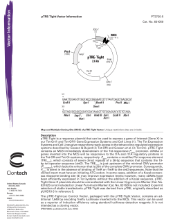pTRE-Tight Vector Information