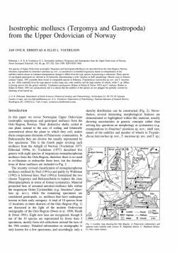 Isostrophic molluscs (Tergomya and Gastropoda) from the Upper