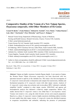 Comparative Studies of the Venom of a New Taipan Species