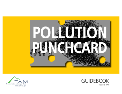 Pollution Punchcard Guidebook