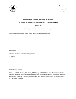 Coastal California Shorebird Monitoring Plan