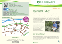 Spadework Summer Newsletter