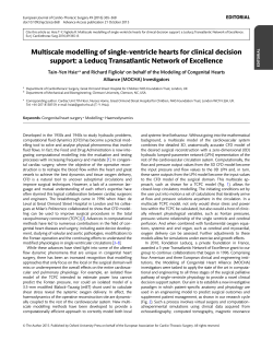 Multiscale modelling of single-ventricle hearts for
