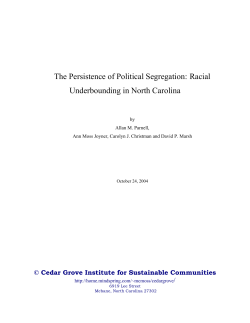 The Persistence of Political Segregation: Racial Underbounding in