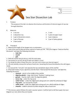 Starfish Dissection Guide