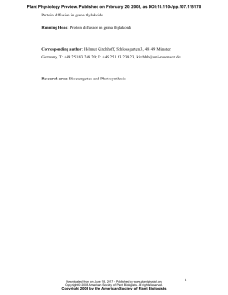 Protein diffusion in grana thylakoids