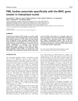 PML bodies associate with the MHC gene cluster