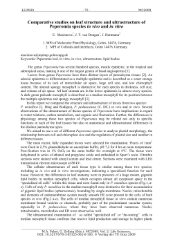 Comparative studies on leaf structure and ultrastructure of