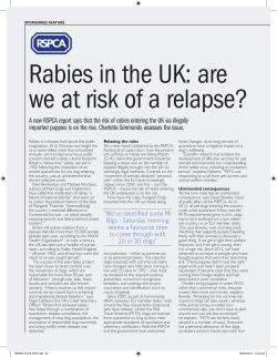 Rabies In The UK