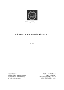 Adhesion in the wheel–rail contact