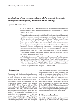 Morphology of the immature stages of Panorpa qinlingensis