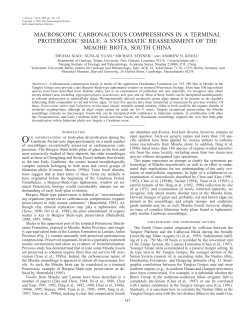 a systematic reassessment of the miaohe biota, south chin