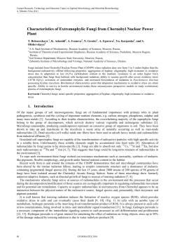 Characteristics of Extremophylic Fungi from Chernobyl Nuclear