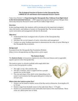 The Oyster Filter Feeding Experiment