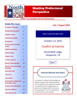 Meeting Professional Perspective